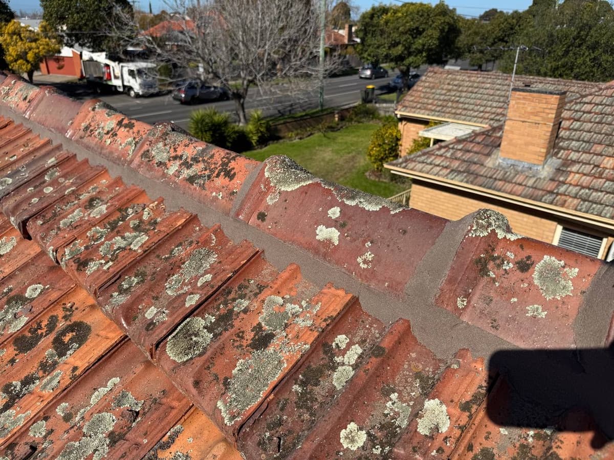 Lichen and moss damaged tile roof – before restoration